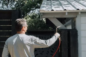 common texas household pests