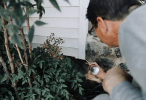 Treating Texas Pests - Sniper Pest Control Fort Worth